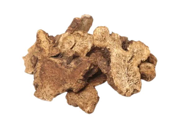atractylodes root atractylodes macrocephala 600x436 removebg preview