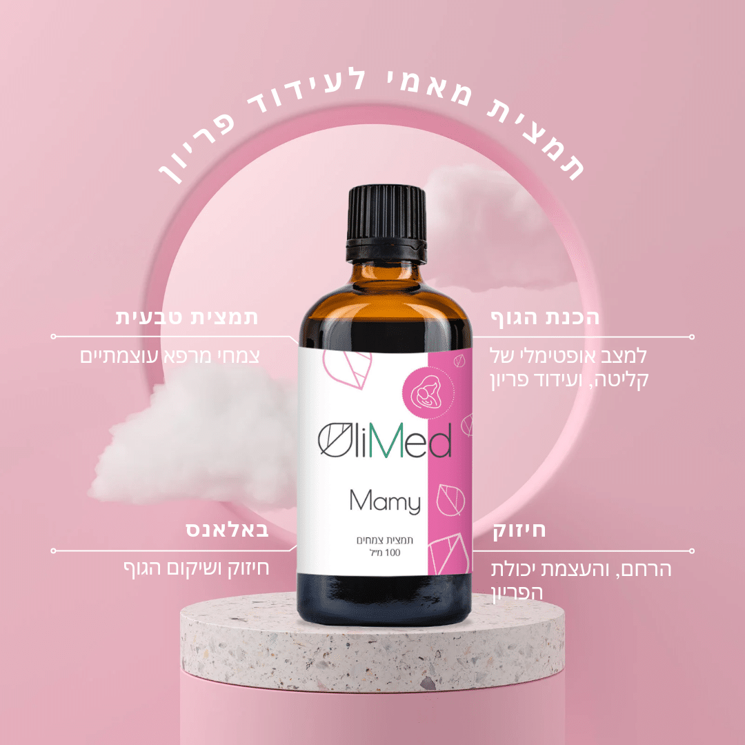 mamy (מאמי)