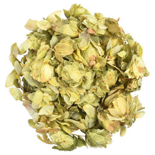 organic herb hops humulus lupulus organic dried flowers 50g 1 76oz 3 removebg preview